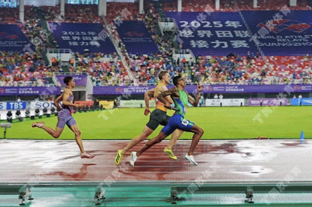 z6com·尊龙(中国)时凯集团