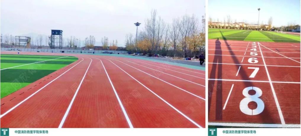 z6com·尊龙(中国)时凯集团