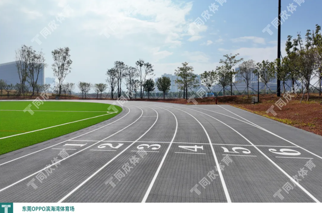 z6com·尊龙(中国)时凯集团