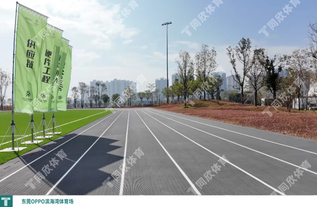 z6com·尊龙(中国)时凯集团